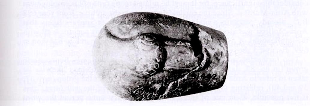 fig6c